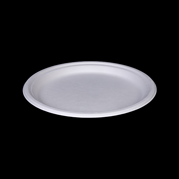 9" Round Plate </br> Size : 255x20mm