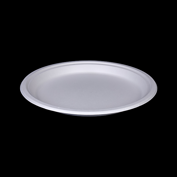 10" Round Plate </br> Size : 175x16mm