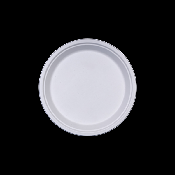 12" Round Plate </br> Size : 258x23mm